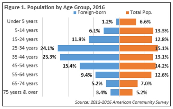 Population by Age Group