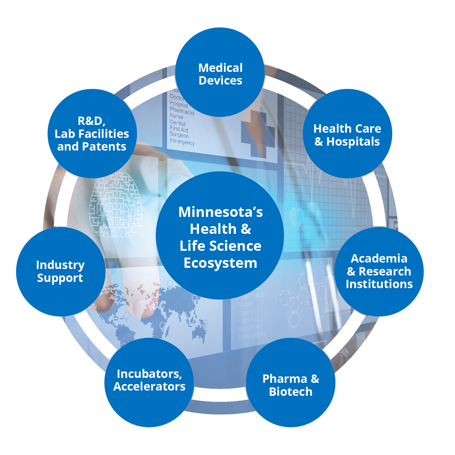 MN Science Ecosytem infographic