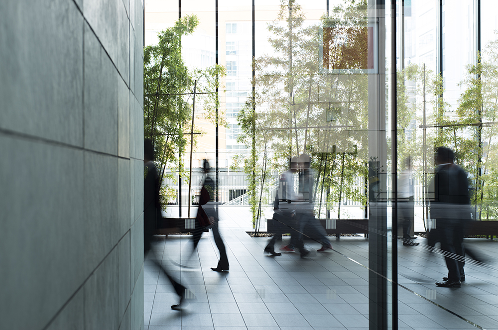 shadows-glass-building