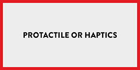 Protactile or Haptics